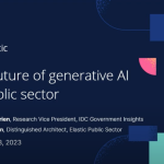 The future of generative AI in the public sector
